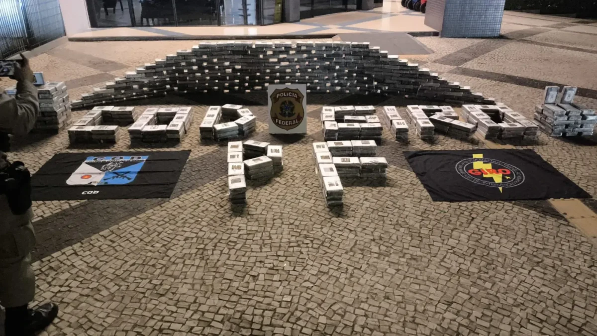 WhatsApp Image 2025-12-03 at 10.06.51