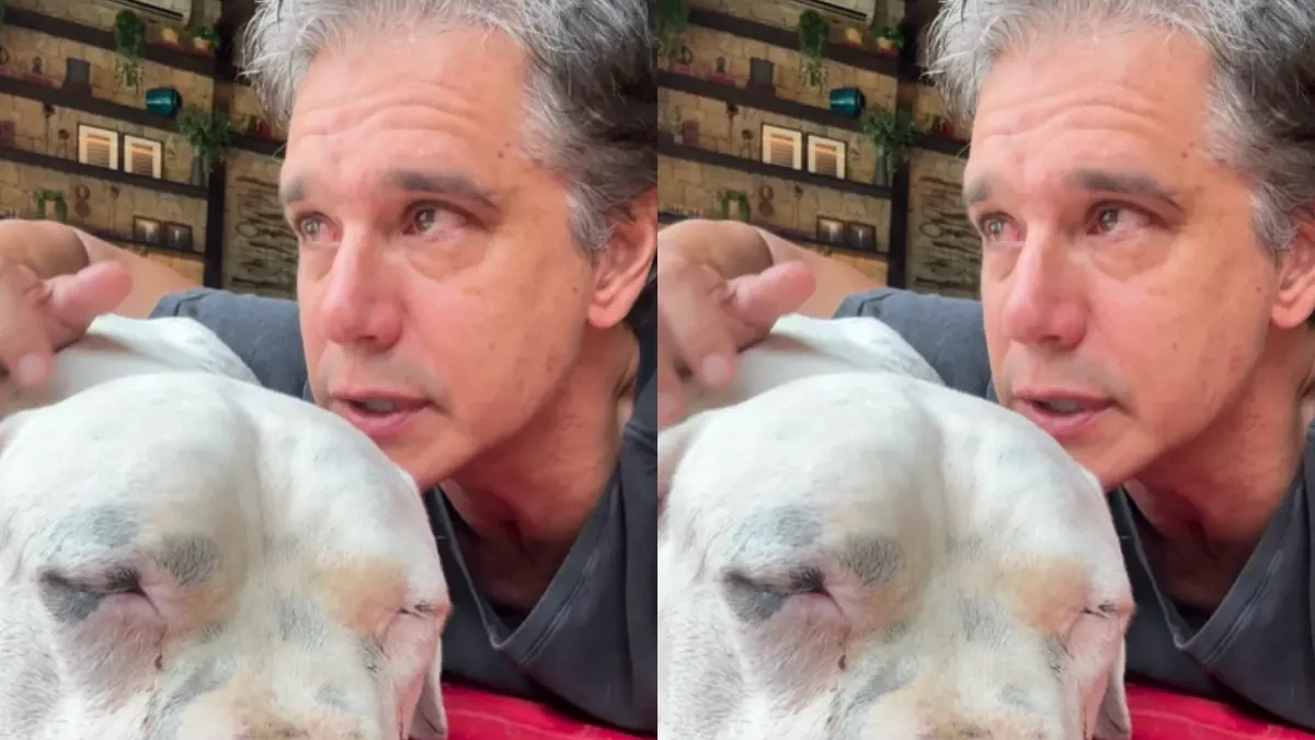 Linfoma em cachorro: o que tutores precisam saber após o caso de Bogo, pet de Márcio Garcia