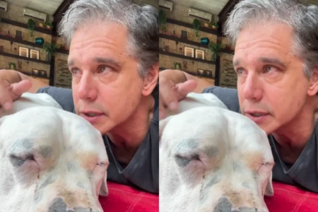 Linfoma em cachorro: o que tutores precisam saber após o caso de Bogo, pet de Márcio Garcia