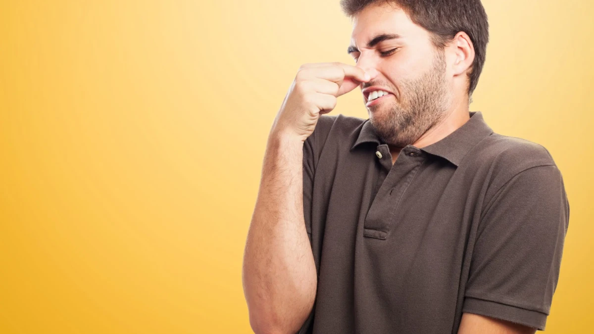 Cheiro forte de pum pode evitar avanço do Alzheimer Substância presente nos puns mais fedidos pode ajudar a proteger células cerebrais