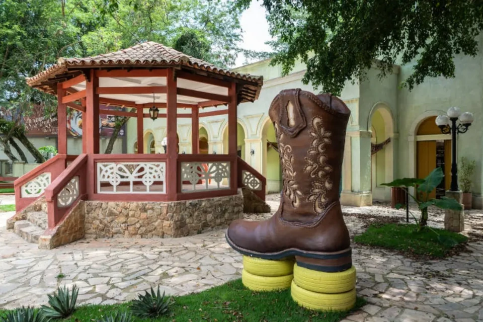 WhatsApp Image 2025-12-05 at 15.58.24