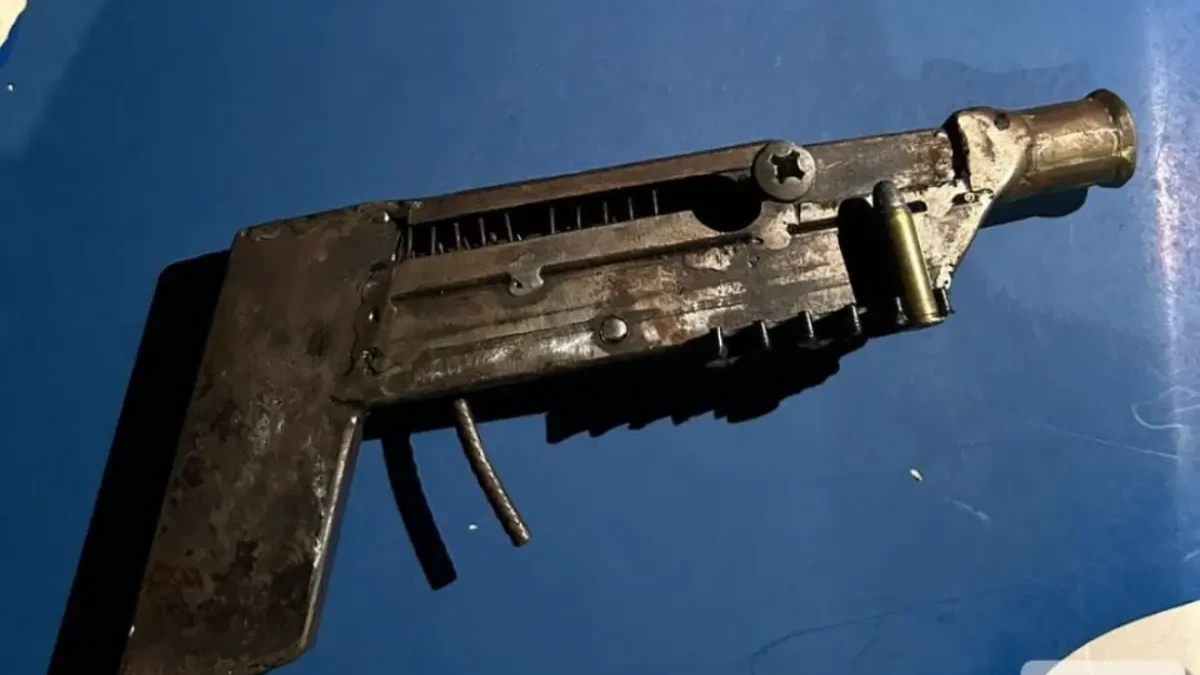 Imagem da arma caseira