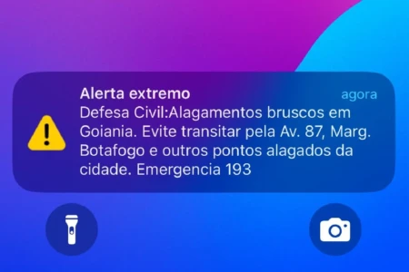 WhatsApp Image 2025-12-06 at 15.55.39