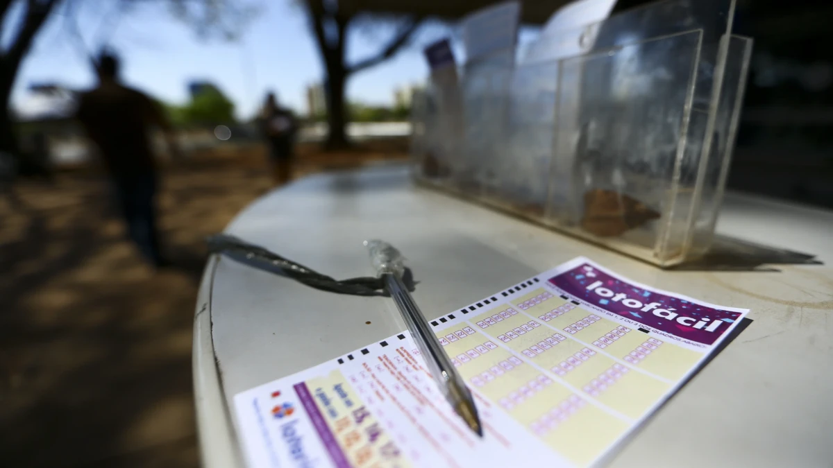 Concurso 3556 da Lotofácil: veja resultado e os prêmios que saíram para Goiás (Foto: Agência Brasil)