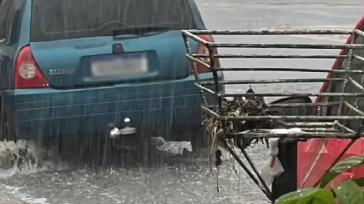 Sara está em coma no Hugol Veja vídeo do resgate da menina que ficou presa pelo cabelo debaixo do carro na enxurrada, em Goiânia