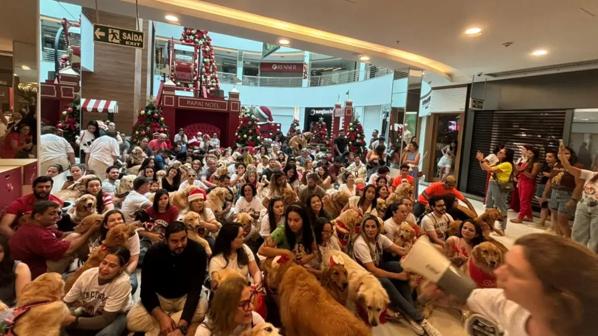 Goiânia Shopping reúne 125 golden retrievers em encontro com Papai Noel (Foto cedida ao Mais Goiás)