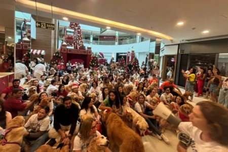 Goiânia Shopping reúne 125 golden retrievers em encontro com Papai Noel (Foto cedida ao Mais Goiás)