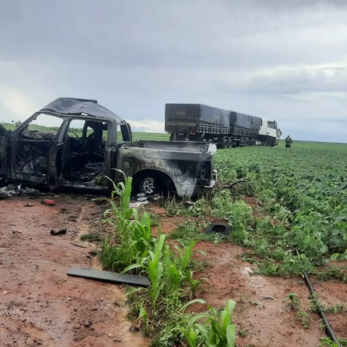 Imagem dos veículos