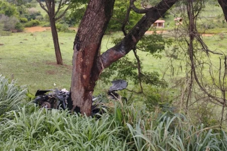 acidenteHomem e neta de 8 anos morrem após carro sair da pista e atingir árvore, em Hidrolândia