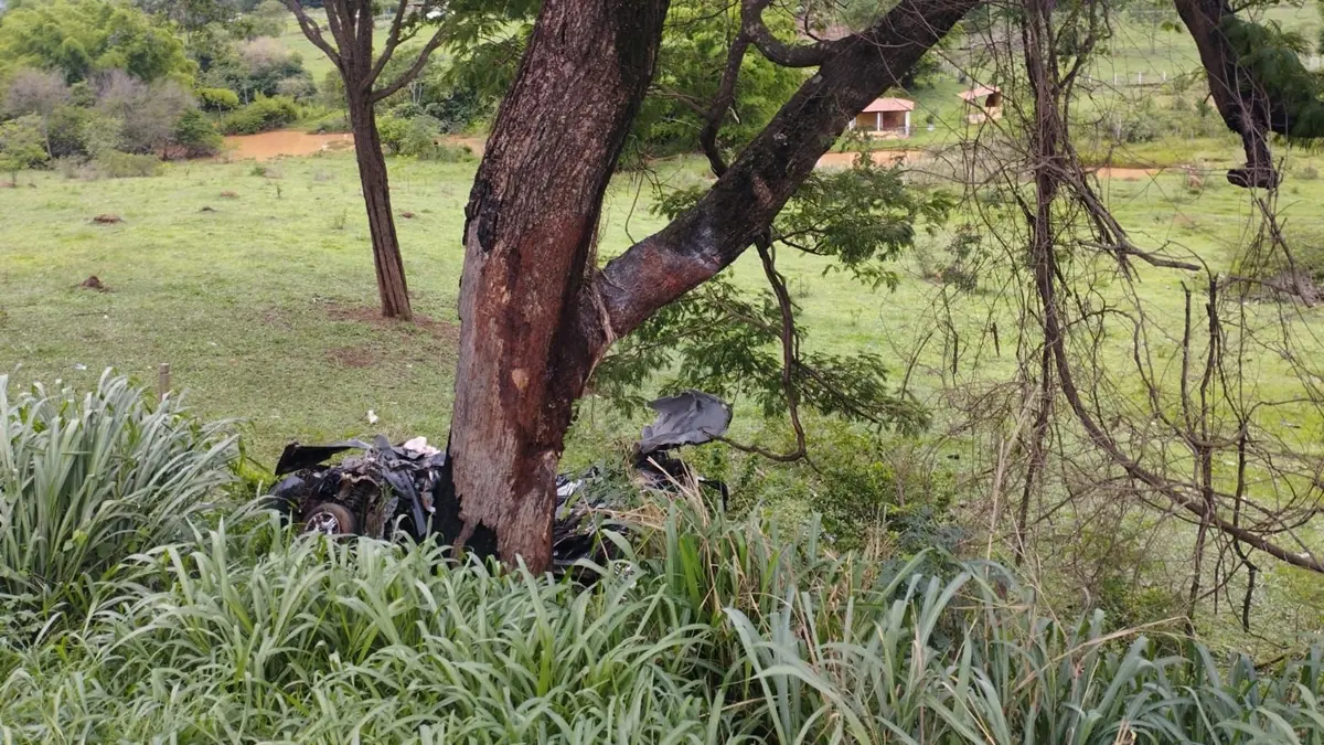 acidenteHomem e neta de 8 anos morrem após carro sair da pista e atingir árvore, em Hidrolândia