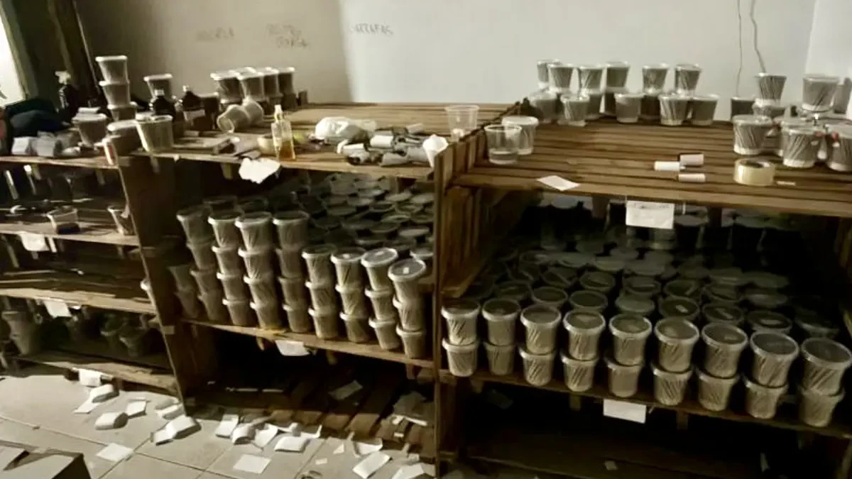 Imagem dos cigarros apreendidos