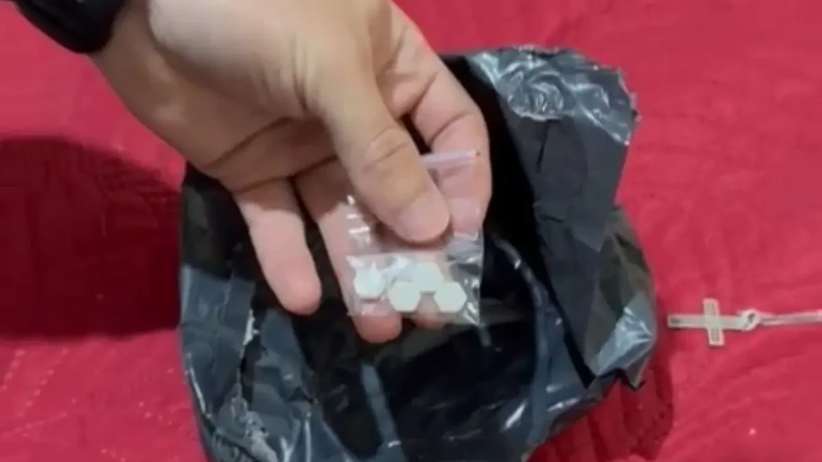 Imagem de parte das apreensões