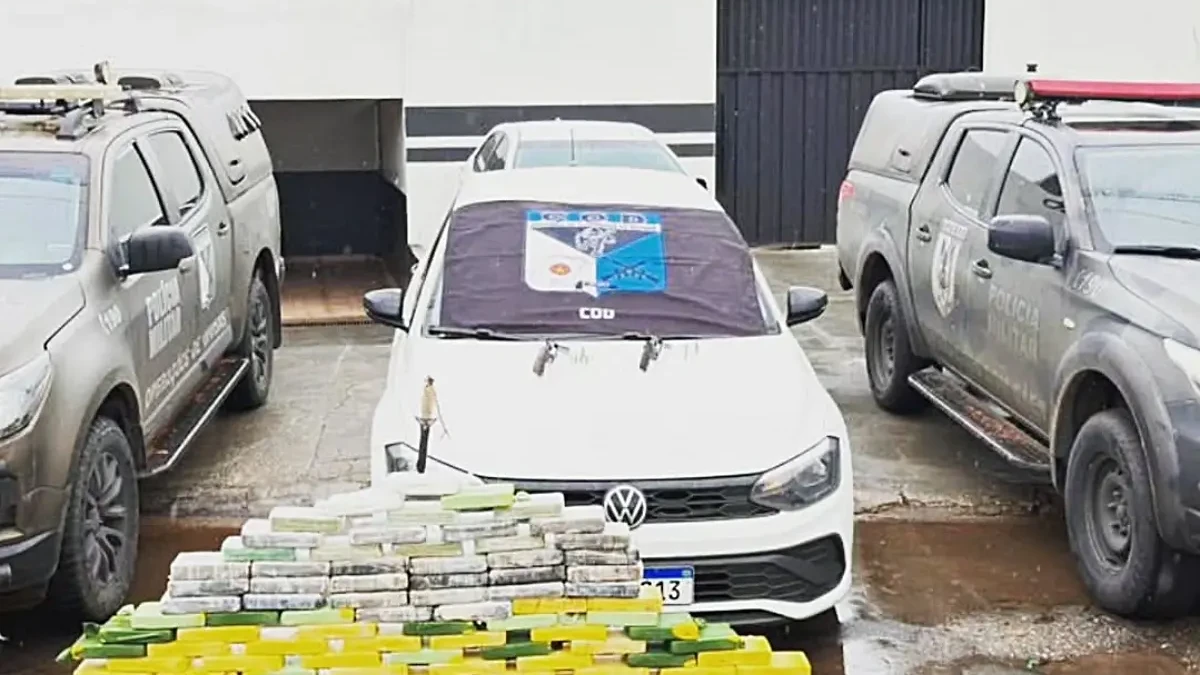 Imagem da apreensão