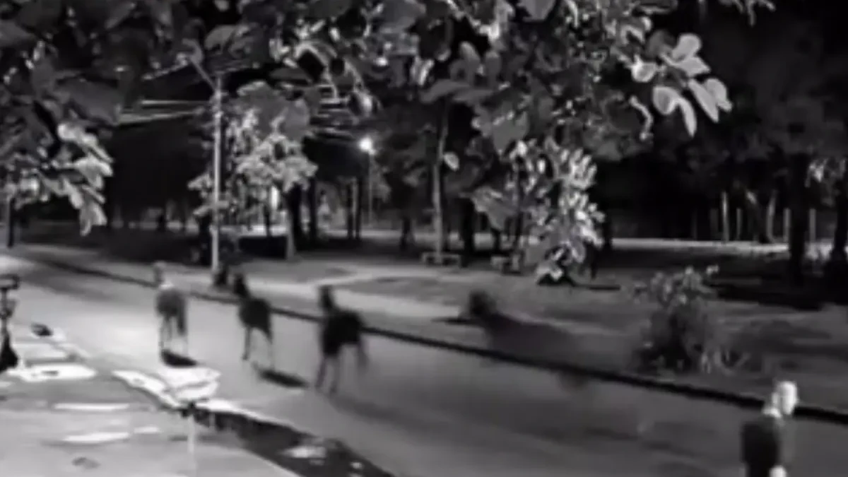 Imagem dos cavalos correndo na rua