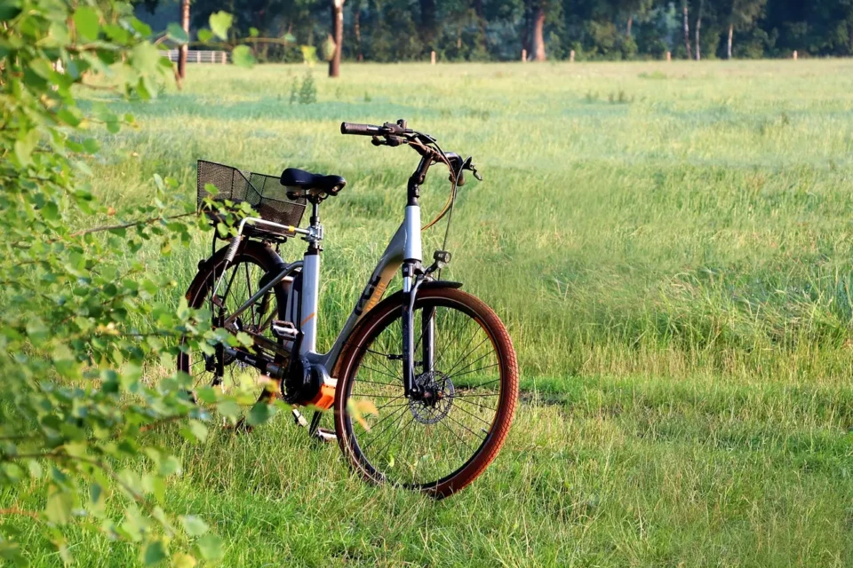 22 mil km dos EUA ao Japão: como foi a primeira viagem de volta ao mundo de bicicleta (Foto: Pixabay)