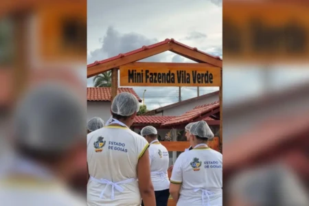 Minifazenda em escola de Campinorte promove inclusão e transforma rotina de alunos especiais