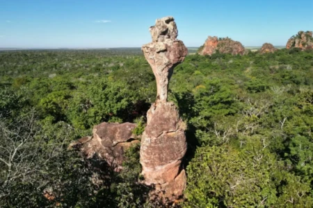 Meio ambiente: Goiás é o estado mais bem avaliado do Brasil, diz Atlas/Intel (Foto: Governo de Goiás)