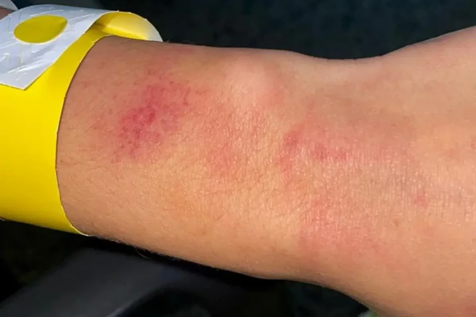 Imagens enviada pela vítima