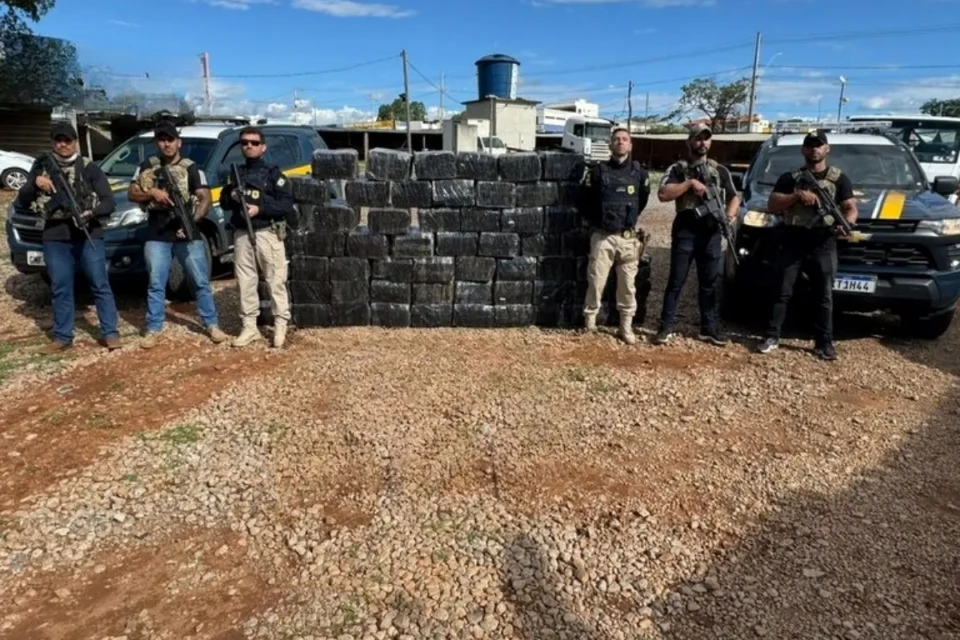 Imagem das drogas apreendidas