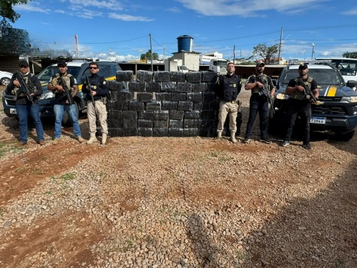 Imagem das drogas apreendidas