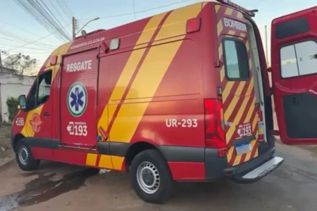 Homem morre na véspera de Natal após ser picado por marimbondos em Aparecida