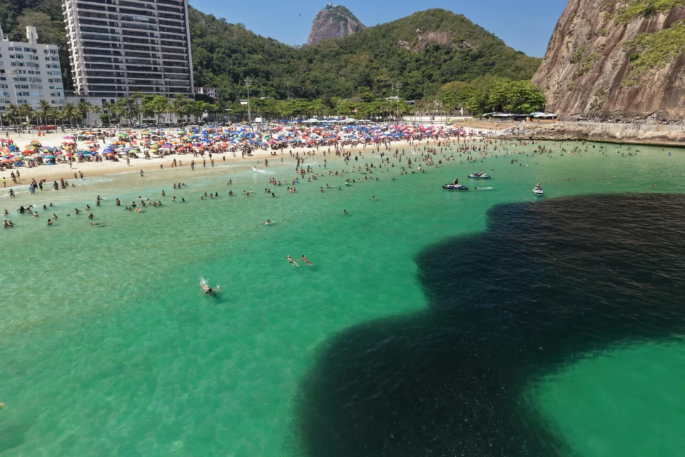 Cardumes são registrados por banhistas na orla do Rio e chama atenção nas redes sociais