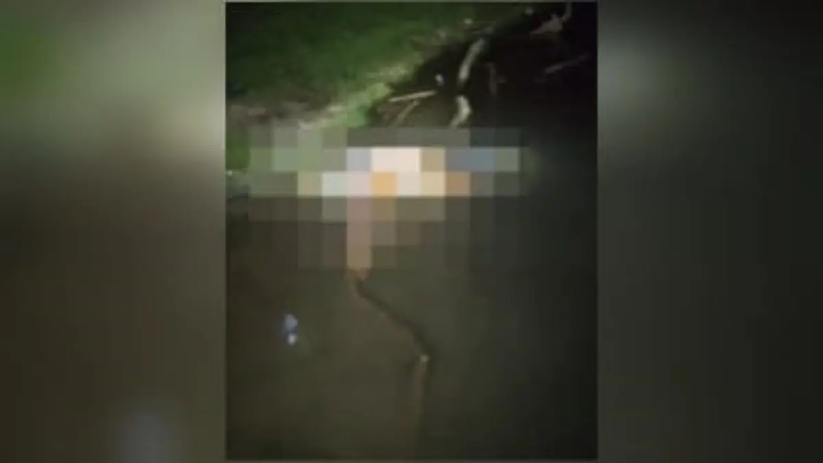 Imagem da localização do corpo