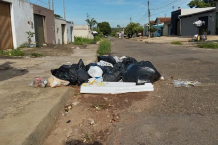 Imagem do lixo acumulado