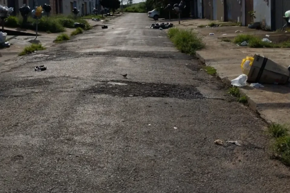 Imagem do lixo espalhado