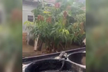 Idosa avalia estrago em horta após tempestade em Goiânia e encanta com simpatia: 'Tadinha das bichinhas'