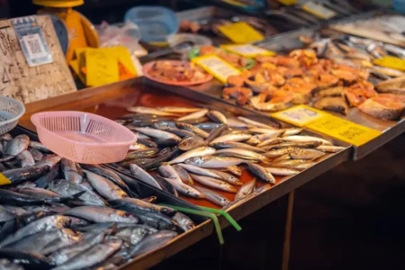 Japonês paga US$ 3,2 milhões por peixe de 243 quilos; veja foto Caso aconteceu no mercado de frutos do mar de Tóquio