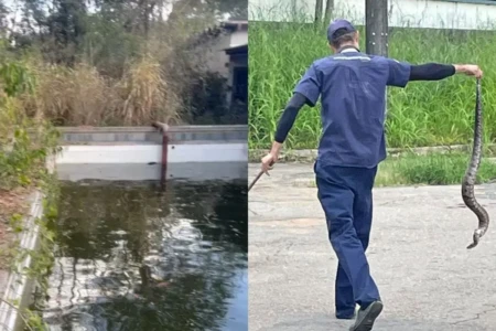 Imagens registradas por moradores da região mostram cobra caputurada e local abandonado