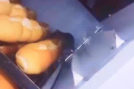 Ratos caminham sobre os pães em supermercado de Aparecida de Goiânia; vídeo (Foto: Reprodução)