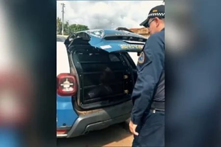 Imagem do suspeito na viatura