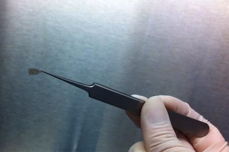Cientistas testam microimplante ocular mais fino do que fio de cabelo que pode ajudar a restaurar a visão
