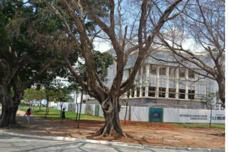 ARVORE X PRAÇA CIVICA