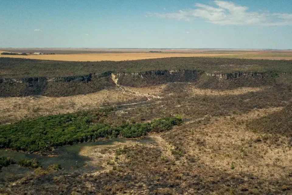Bioma superou a Amazônia e liderou perda de vegetação Área sob alerta de desmatamento no Cerrado em 2025 equivale a 750 mil campos de futebol