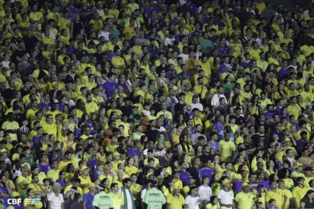 torcida da Seleção Brasileira