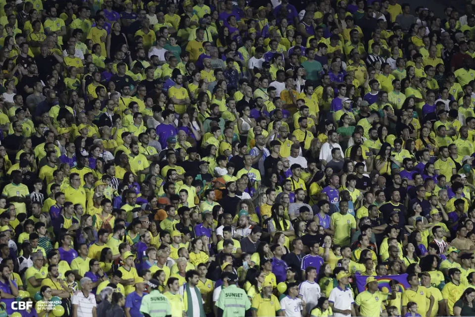 torcida da Seleção Brasileira