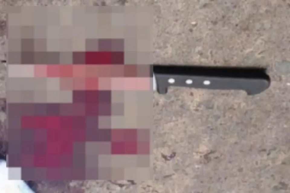 Imagem da faca usada