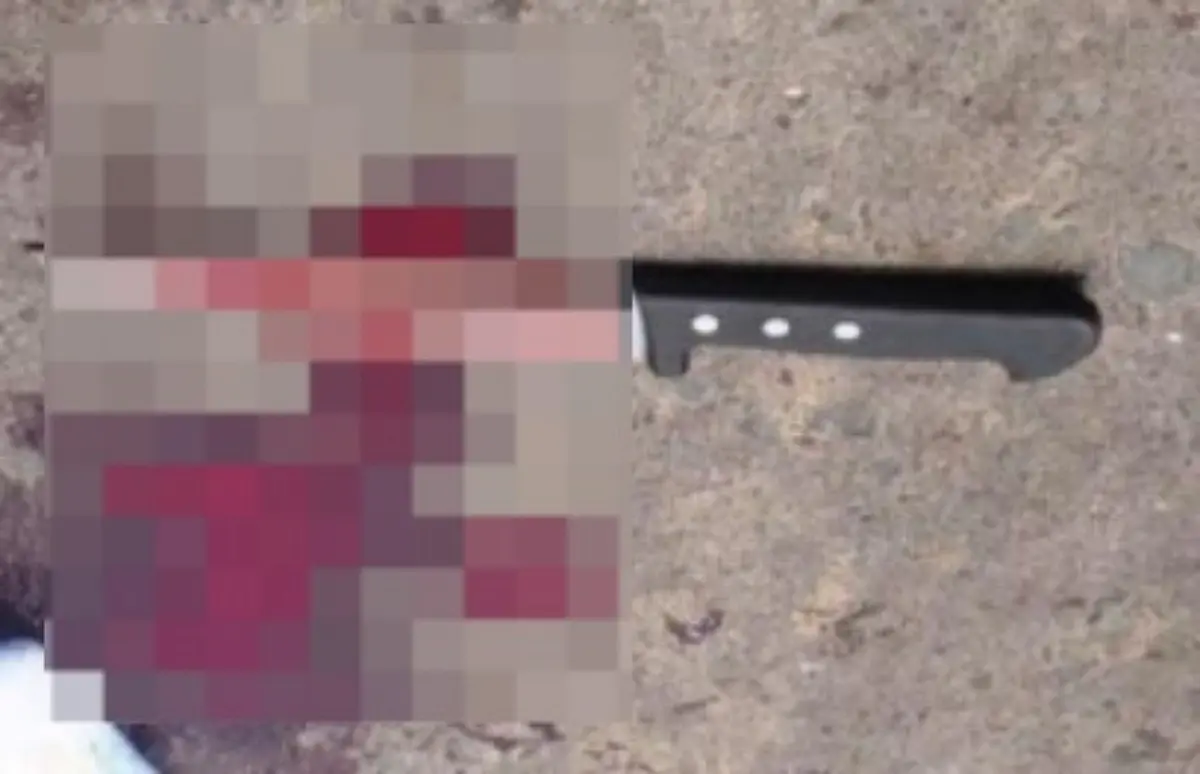 Imagem da faca usada