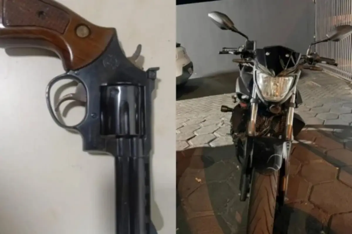 Imagem das apreeensões