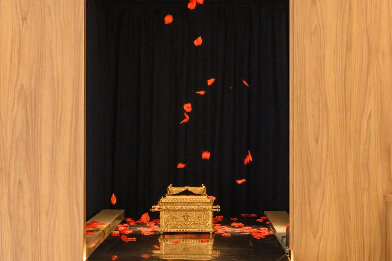 WhatsApp Image 2026-01-19 at 16.47.19