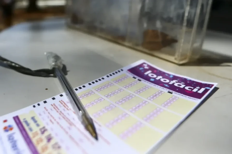 Concurso 3591 da Lotofácil: veja resultado e prêmios que saíram para Goiás (Foto: Agência Brasil)