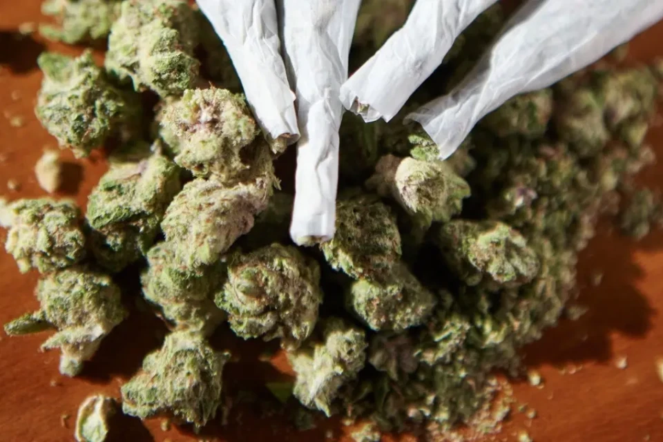 Imagem de porção de maconha