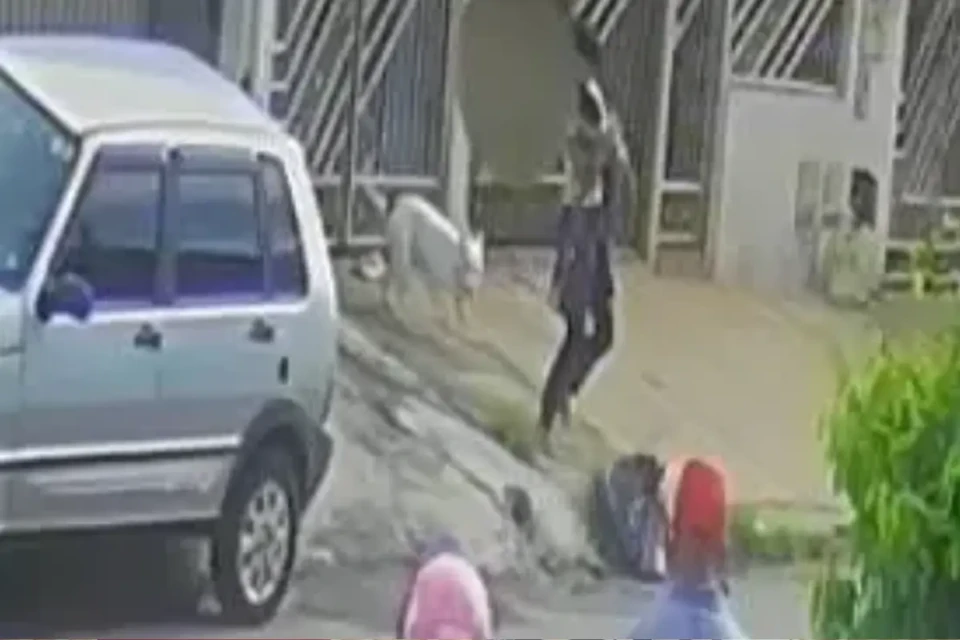 Pitbull escapa de casa e ataca criança de 2 anos em Goiânia (Foto: Reprodução)