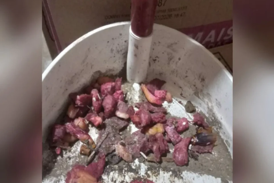 Captura de tela 2026-01-22 171937