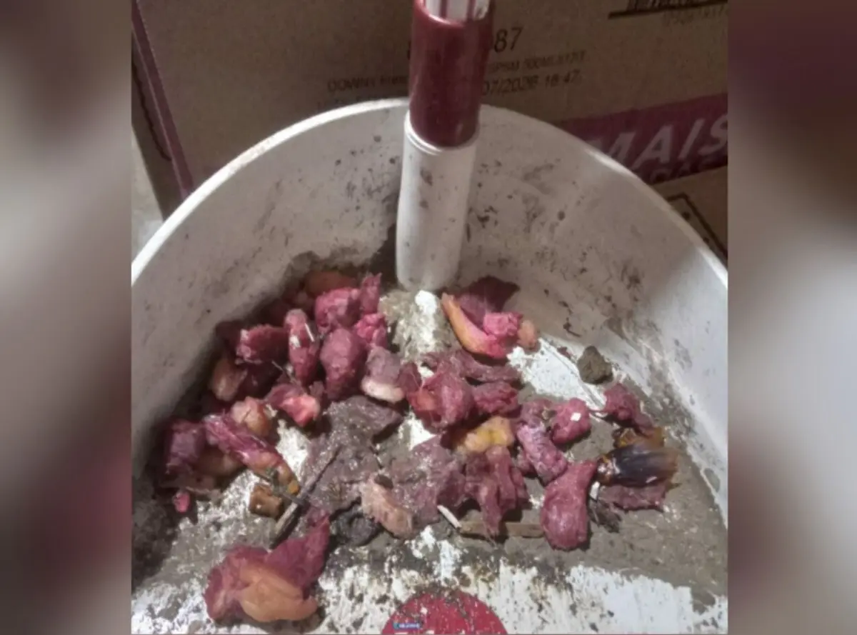 Captura de tela 2026-01-22 171937