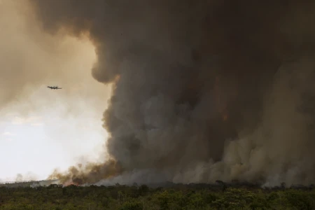 incendio-parque-nacionall_mcamgo_abr_16092024-8