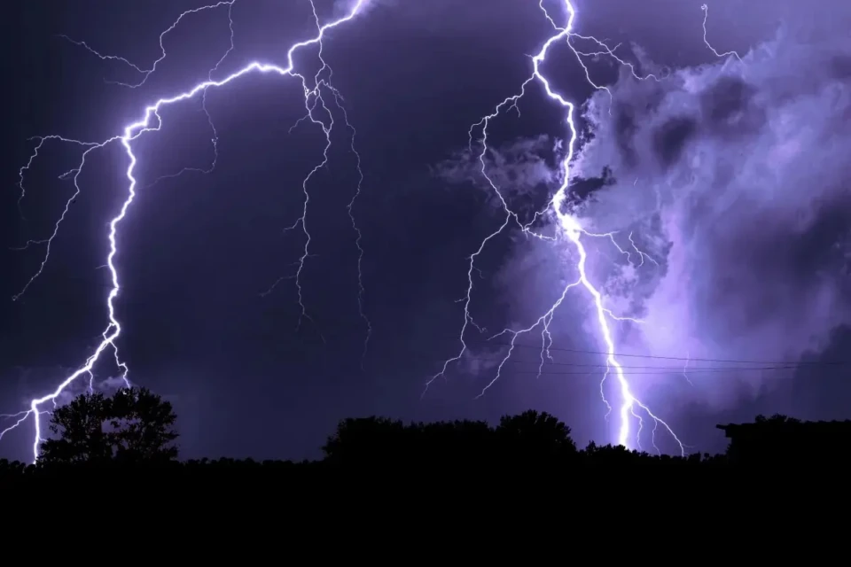 Gado figura entre os animais mais vulneráveis às tempestades elétricas Brasil registra 77,8 milhões de raios por ano 3 mil bovinos morreram